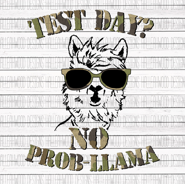 Test day no prob-llama- Camo
