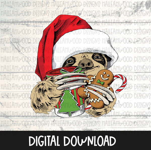 Christmas Sloth Santa Hat
