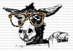 Donkey with Leopard Glasses
