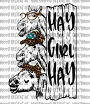 Hay Girl Hay Horses