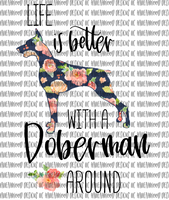 Life is Better... Doberman