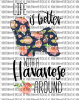 Life is Better... Havanese