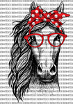 Horse with bandana and glasses