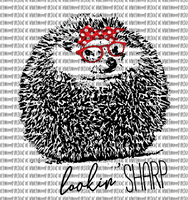 Lookin Sharp hedgehog