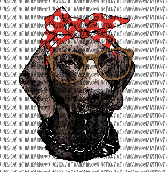 GSP with bandana and glasses
