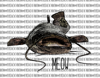MEOW catfish