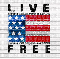 LIVE FREE- Aztec Flag