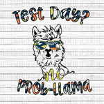Test day no prob-llama