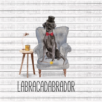 Labracadabrador- Black Lab