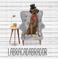 Labracadabrador- Chocolate Lab