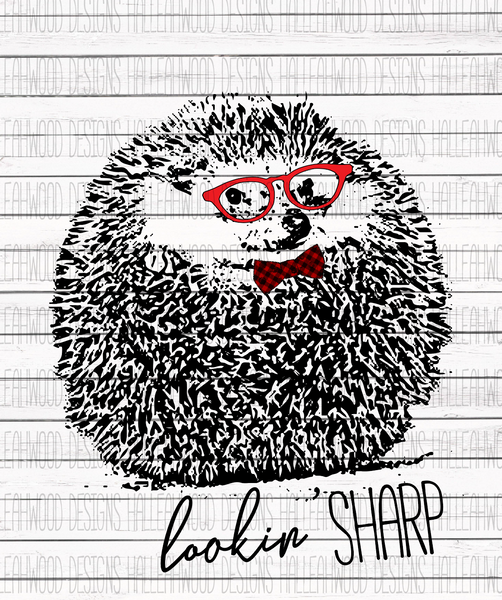 Lookin Sharp hedgehog- Boy