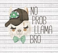 No Prob Llama Bro- Boy Llama