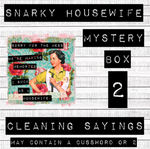MYSTERY BOX- 2- Snarky Cleaning Sayings