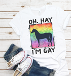 Pride- Oh, Hay I'm Gay