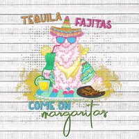 Tequila Fajitas Come on Margaritas