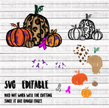 Colorful Pumpkins- Cancer Awareness- SVG Editable