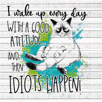 Idiots Happen- Cats- Attitude
